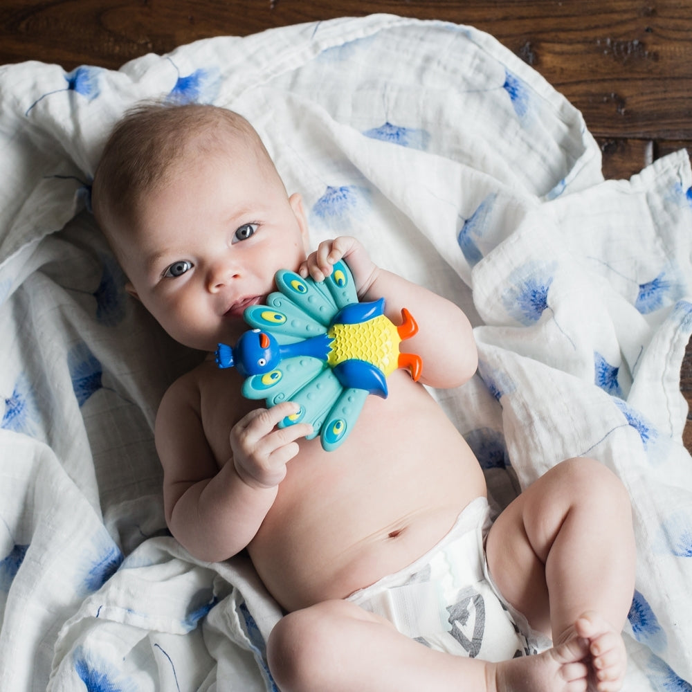Squeezy Teethe Soft Rubber Teether