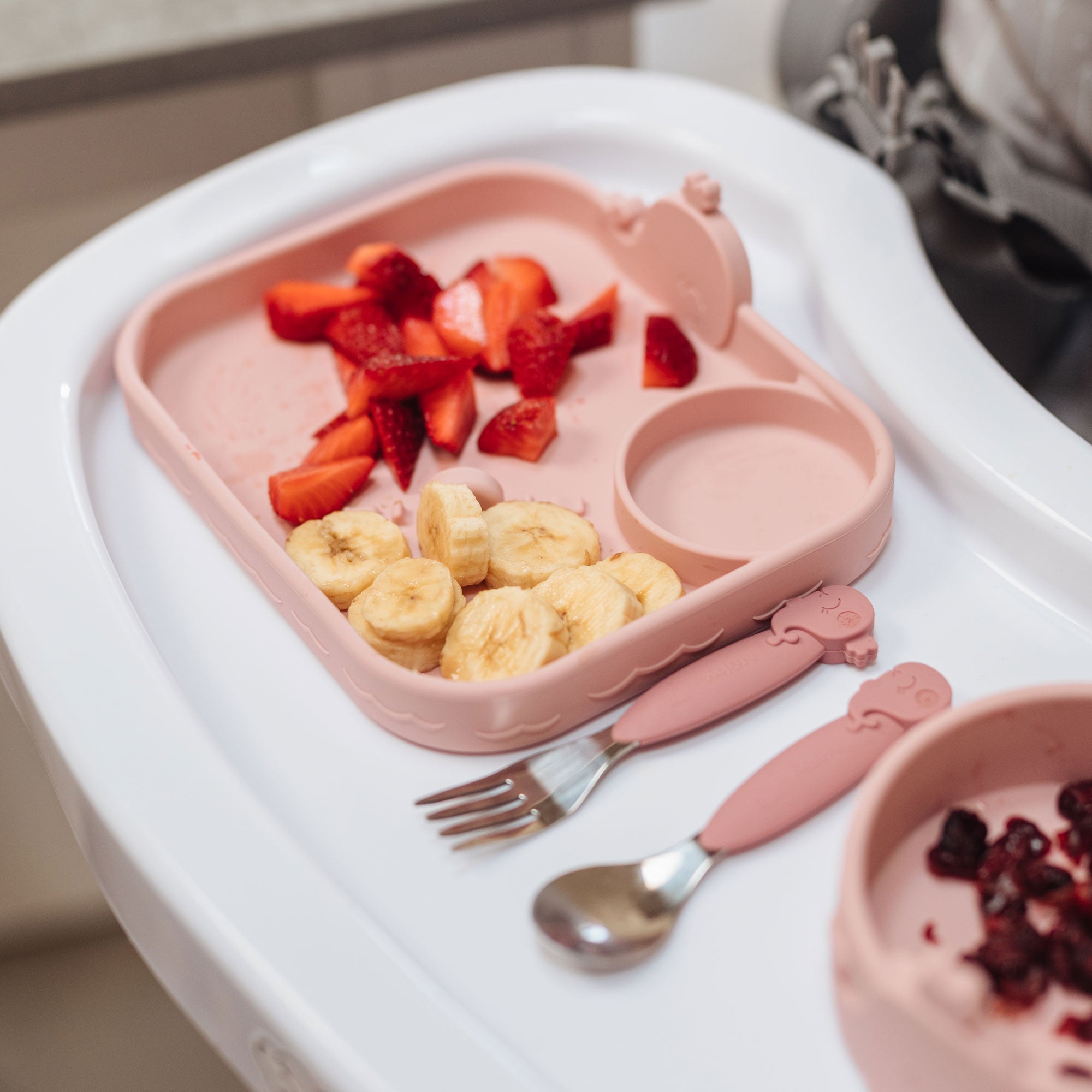 Animal Friends All Silicone Tray